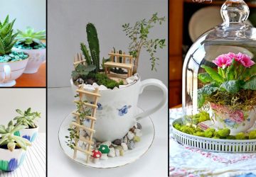 thiết kế nội thất 2019